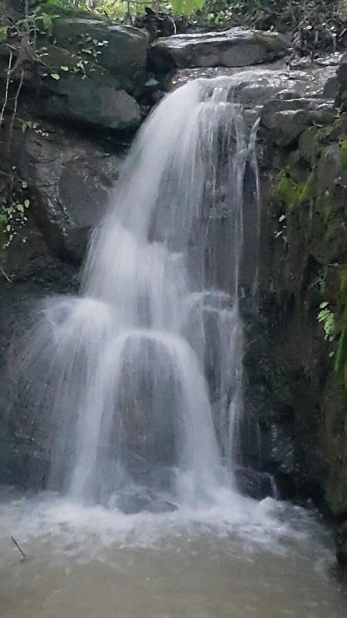 Cherilyn Monta Resort - Ratnagiri Vatul Extérieur photo